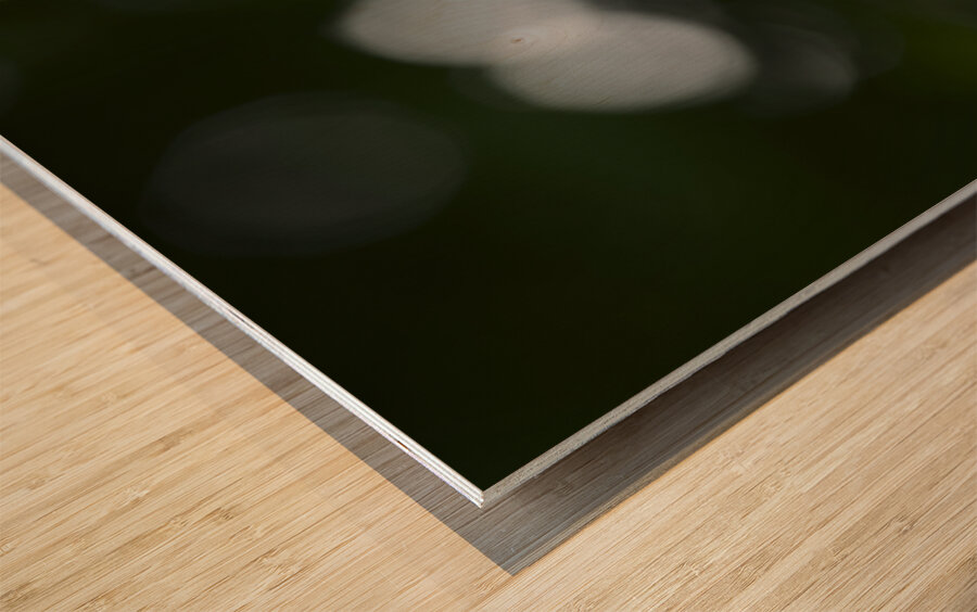 Catchfly Impression sur bois