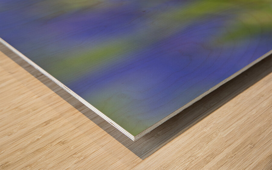 Me Myself I Wood print