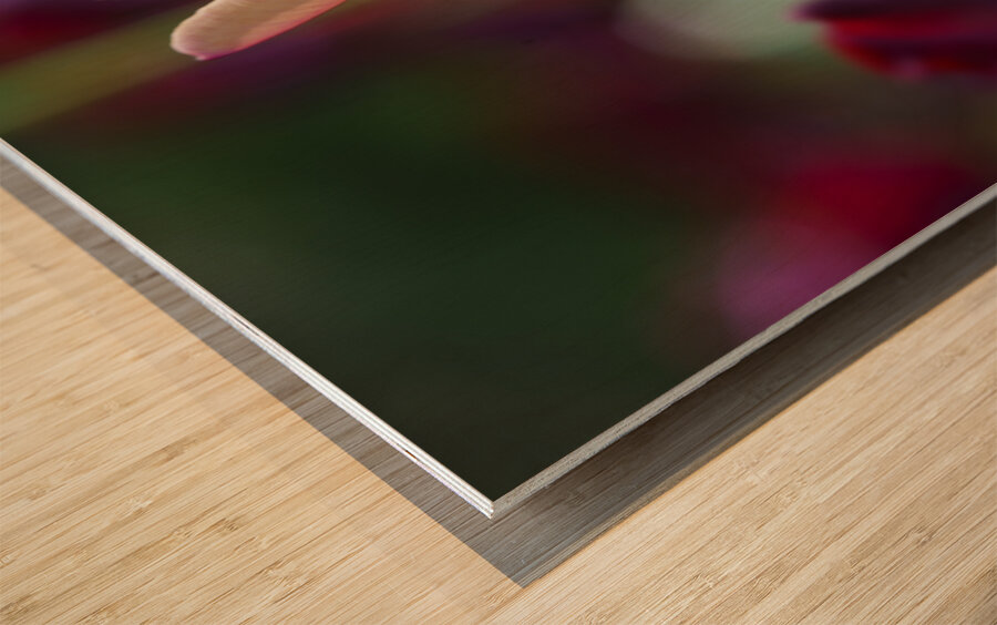 Glowing Lady Wood print