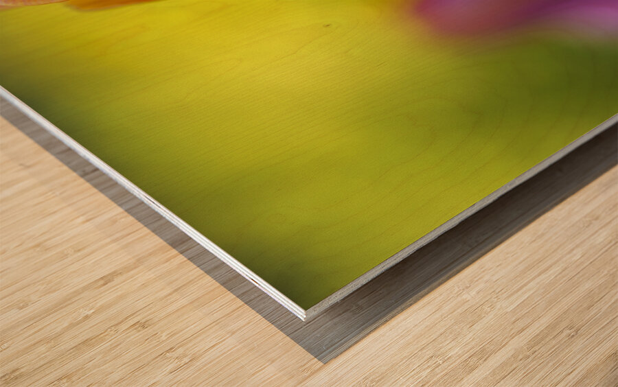 Freshness Overload Impression sur bois