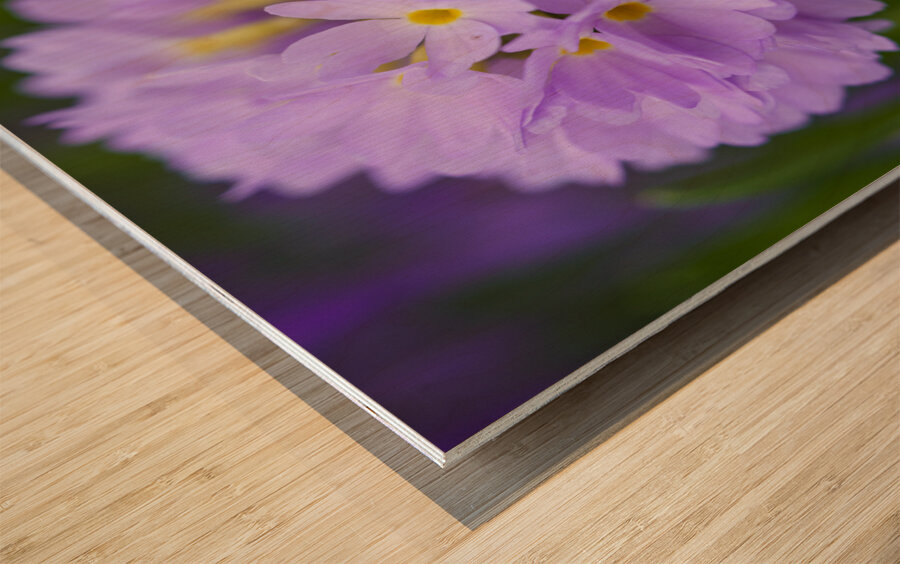 Drumstick Wood print