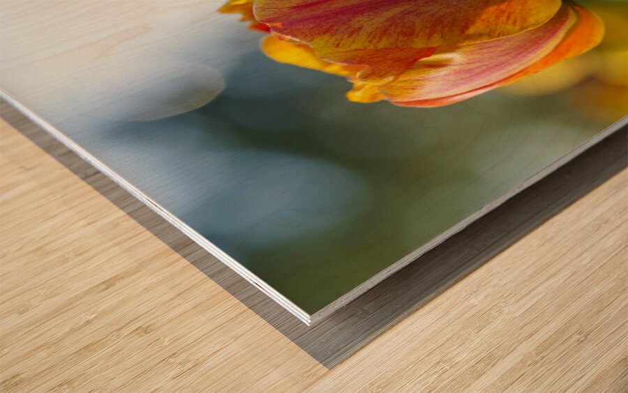 Falling for You Wood print