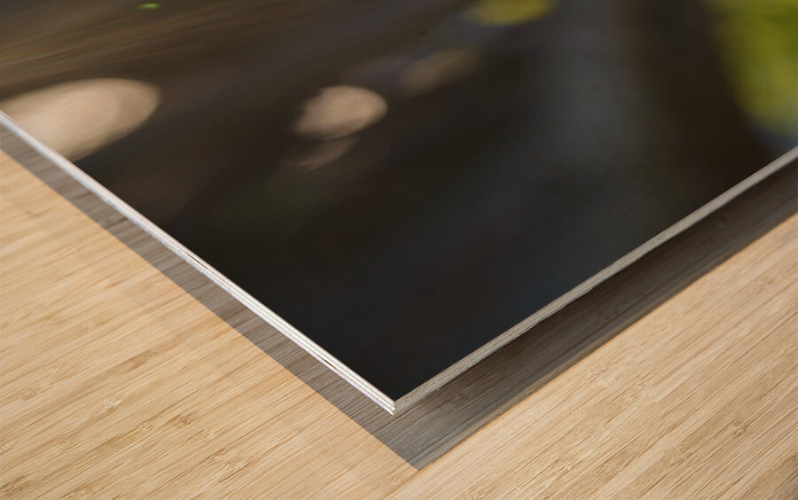 Good Energy Wood print