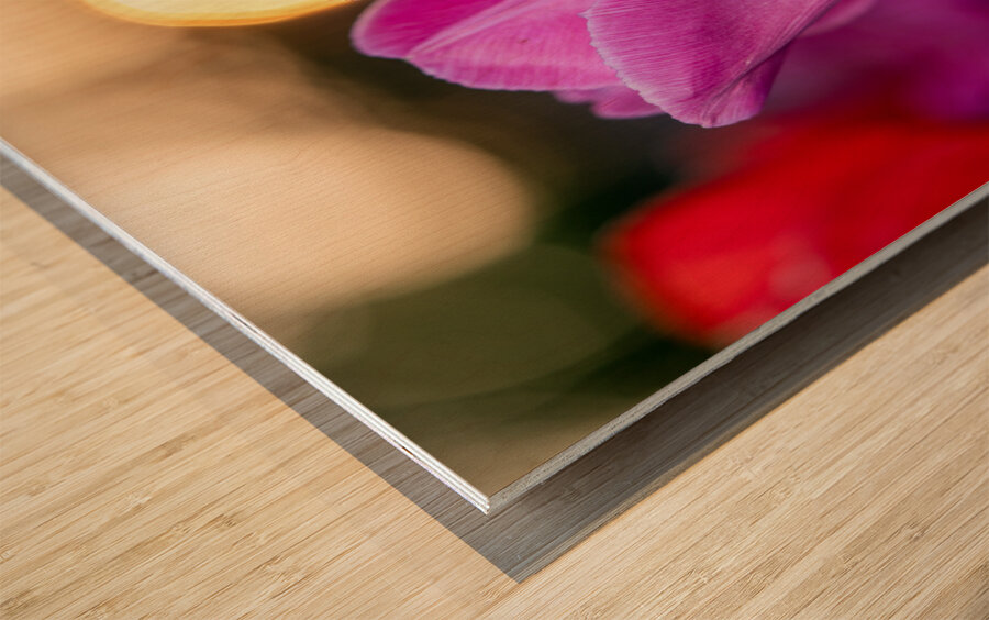 Two Amigos Wood print