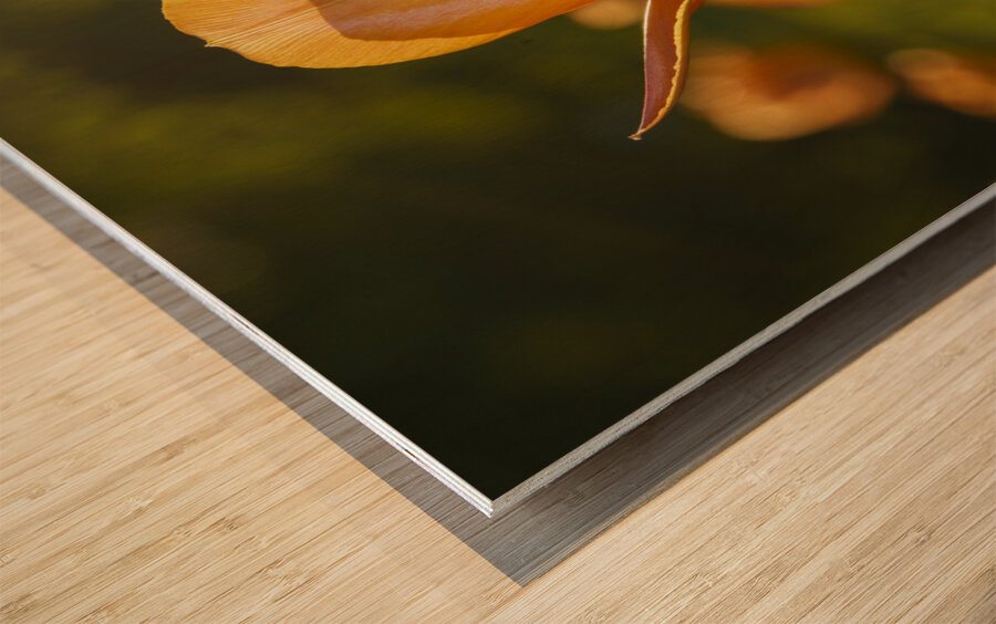 Wonderful Day Impression sur bois