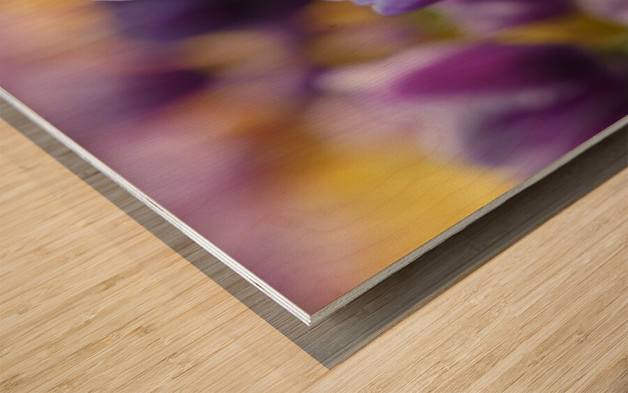 A Touch of Purple Wood print