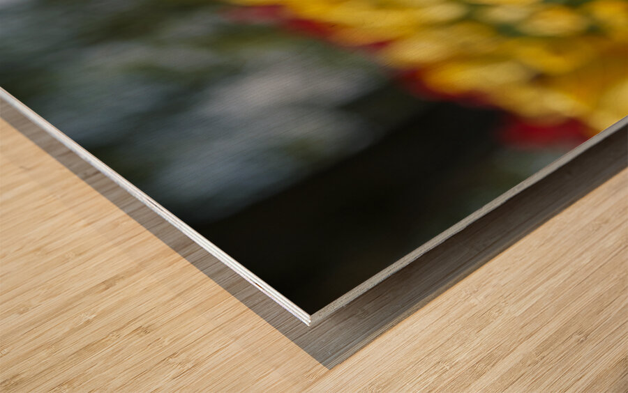 Amongst Others Wood print