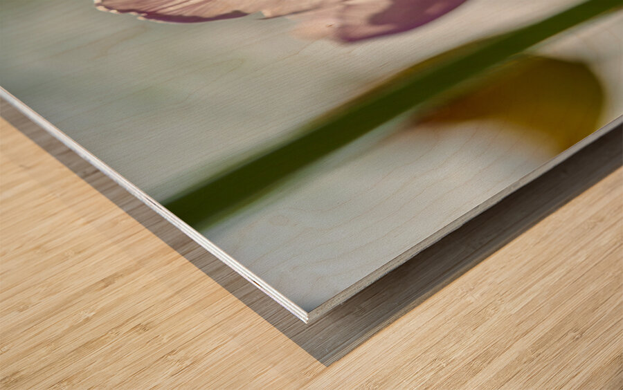 The Glowy One Wood print