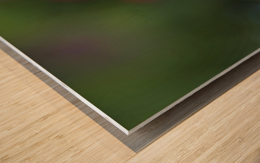 Soothing Space Wood print