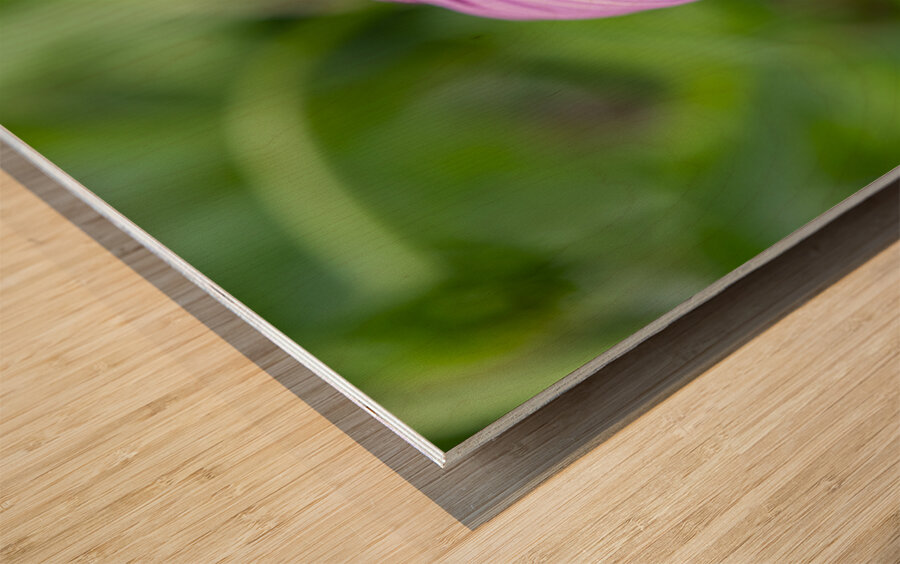 Ruby Star Impression sur bois