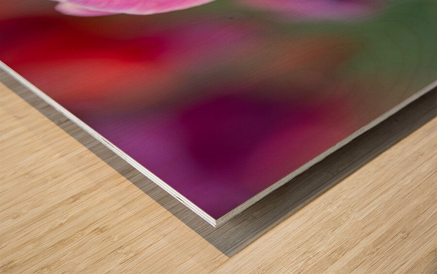 Pretty as a Tulip Wood print