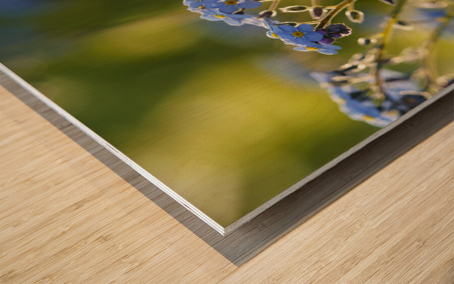 Happy Day Wood print