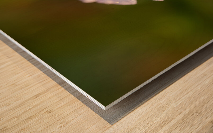 Pretty Pretty Wood print