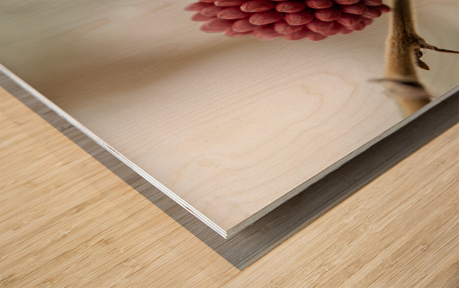 Powder Puff Buds Impression sur bois