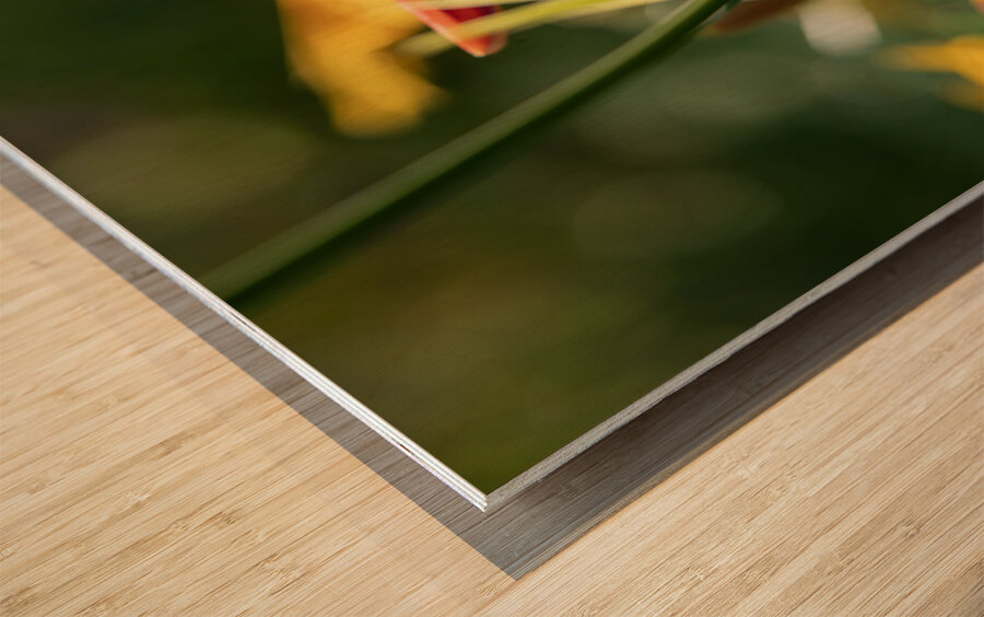 In the Field Wood print