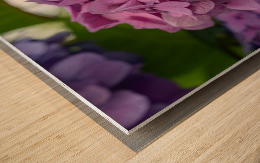 Awesome Pink Impression sur bois