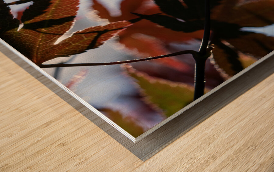 Striking Leaves Wood print