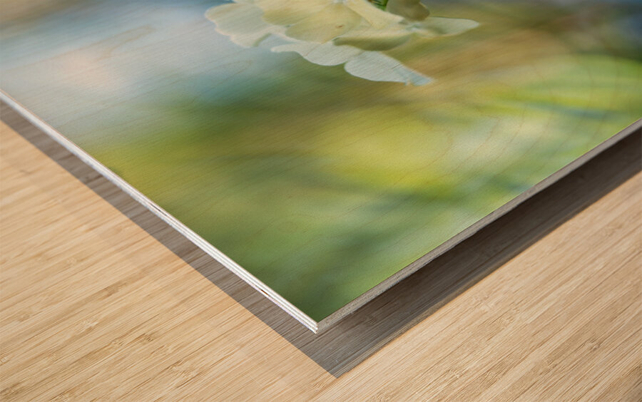 Dreamy State 2 Wood print