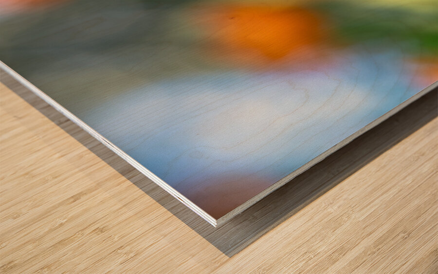 Foreground Wood print