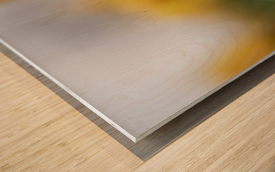 Yellow Radiance Impression sur bois