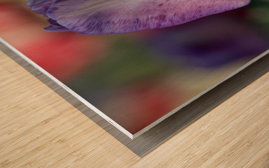 Purple Muse Wood print