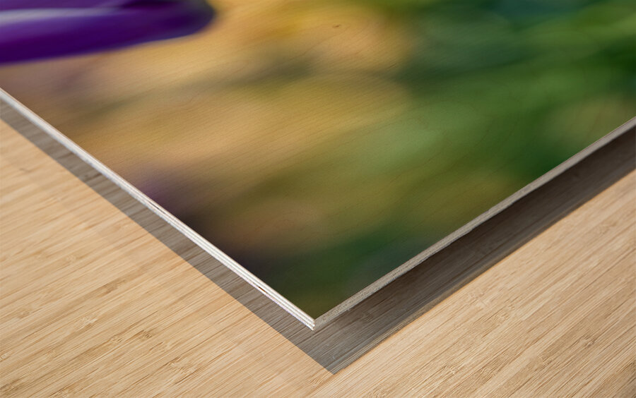 Sunlit Serendipity Wood print