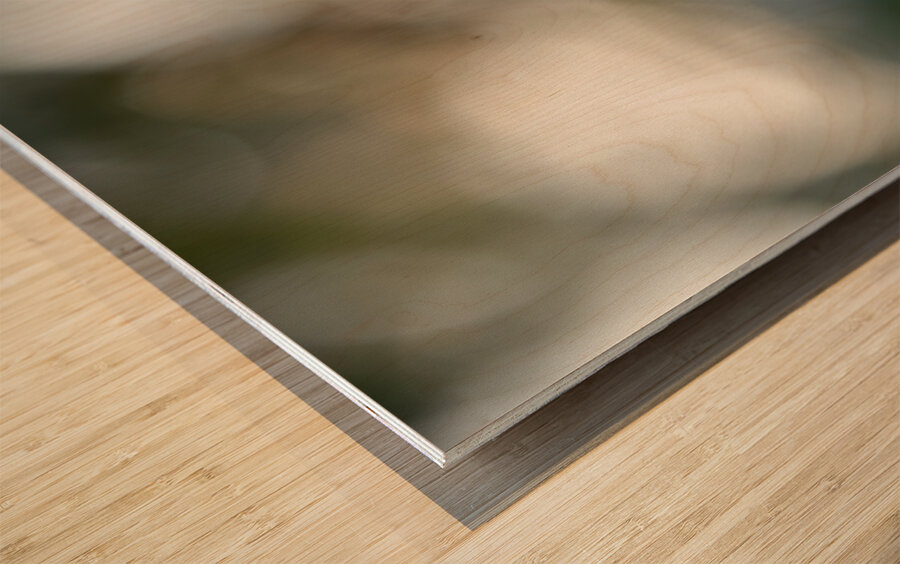 Whispering Blooms Wood print