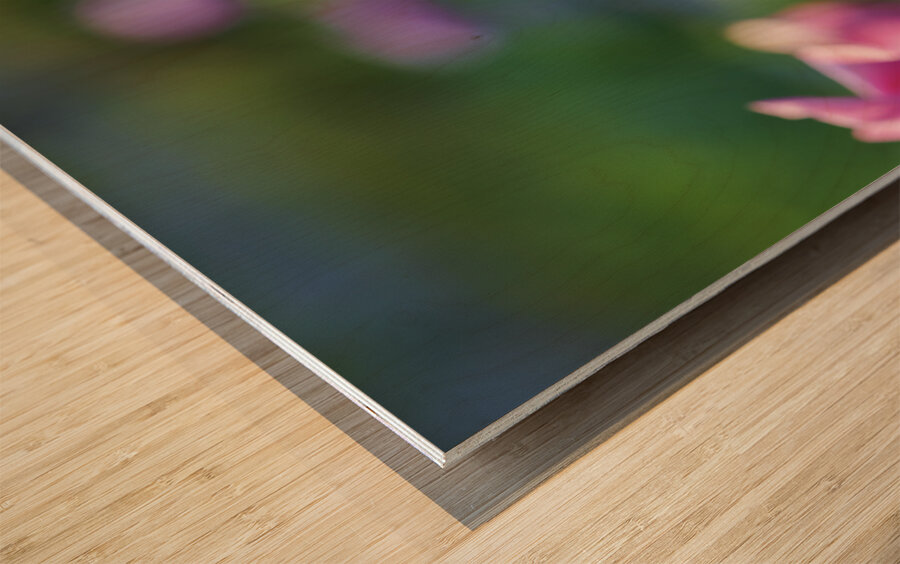 Peace Lady Impression sur bois