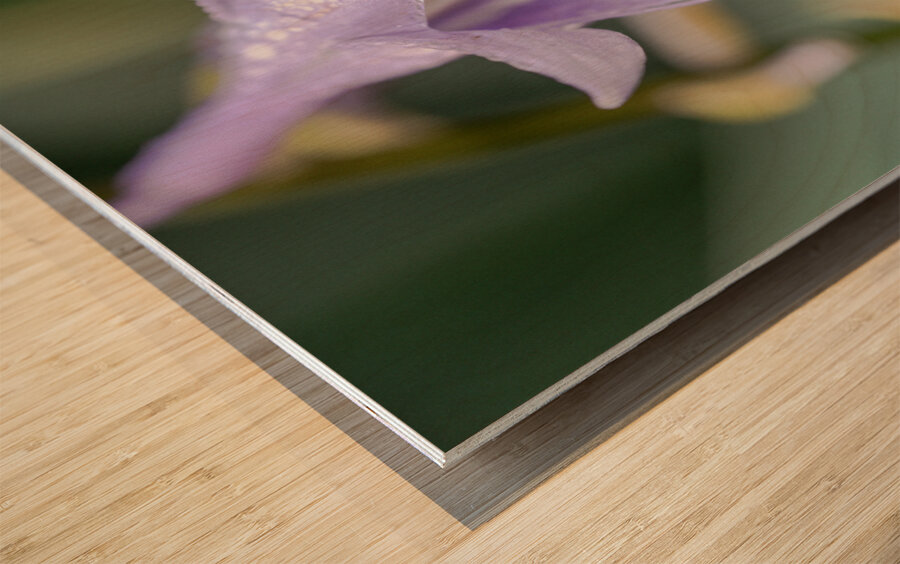 Breeze Blooms Wood print