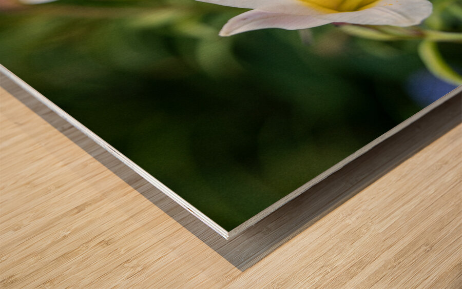 Easter Lily Impression sur bois