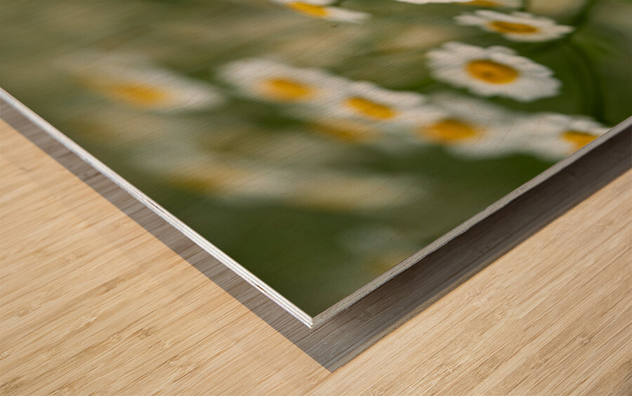 Whispers of Nature Wood print