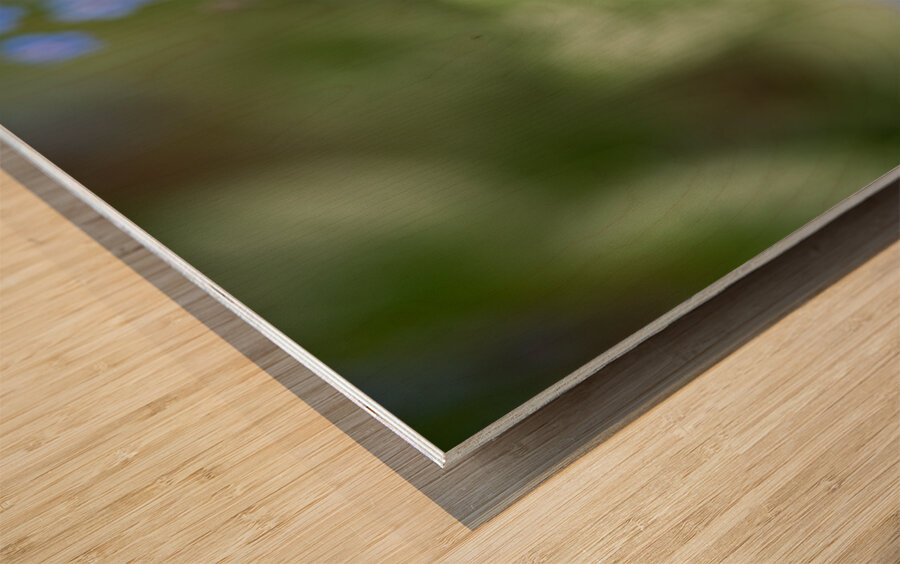 Blue Rosary Wood print