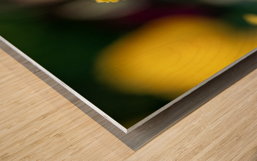 Call Me Fabiola Impression sur bois