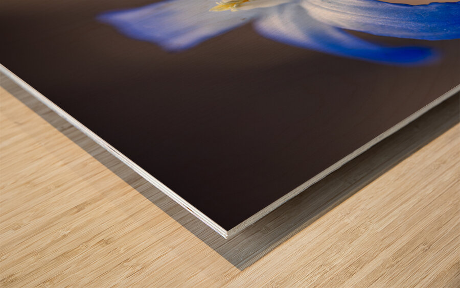 Call Me Lucile Wood print