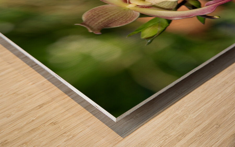 Call Me Willie Wood print