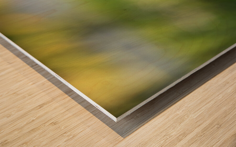 Dear Friend Wood print