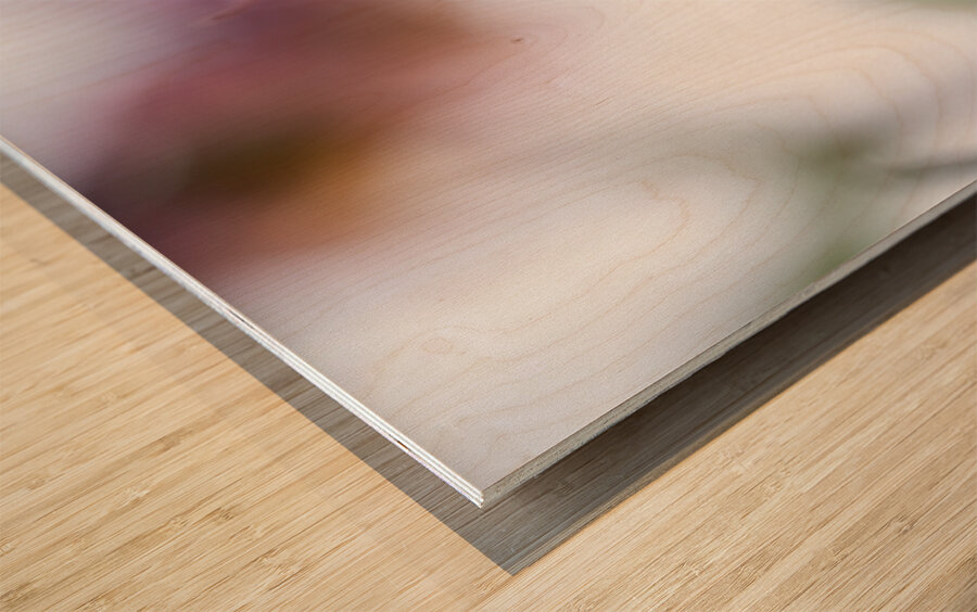 Delicacy Impression sur bois