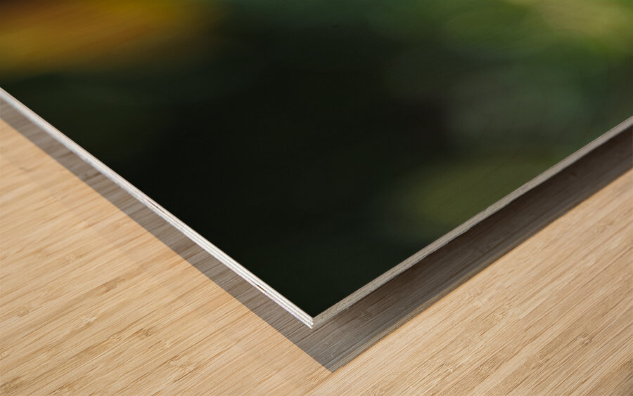 In the Foreground Wood print