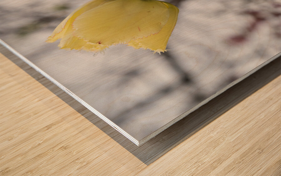 In Good Company Wood print