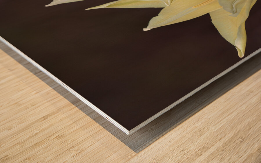 Quite a Pair Wood print