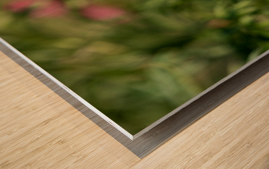 Resilient One Wood print