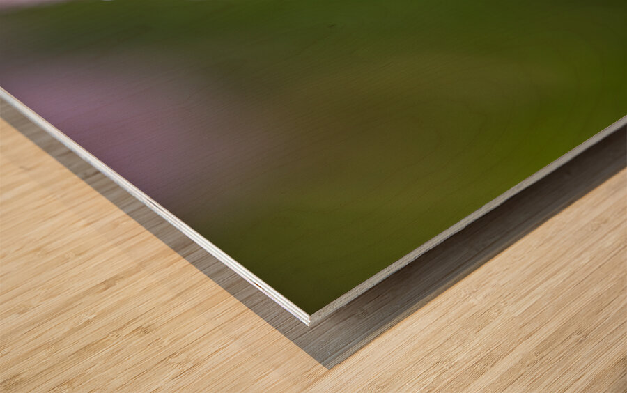 So Delicate Wood print