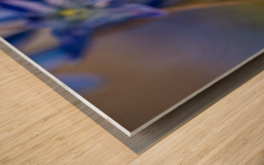 Sapphire Star Wood print