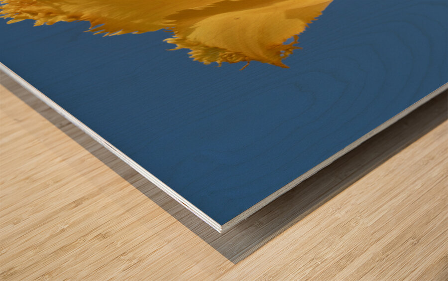 To The Sky Wood print