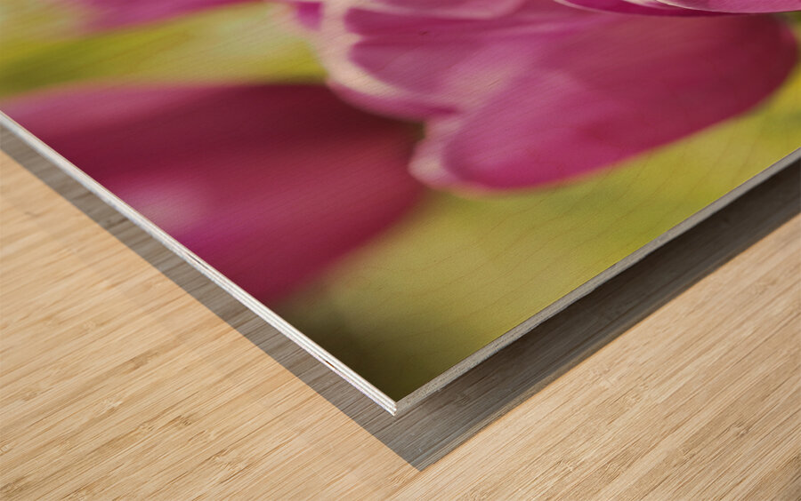 Follow the Leader Impression sur bois