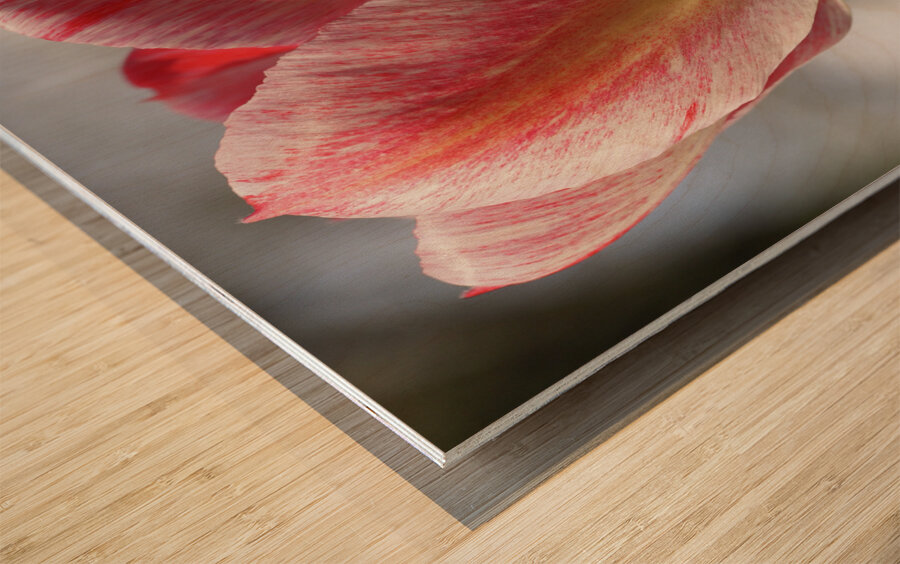 Cheerful Lady Wood print