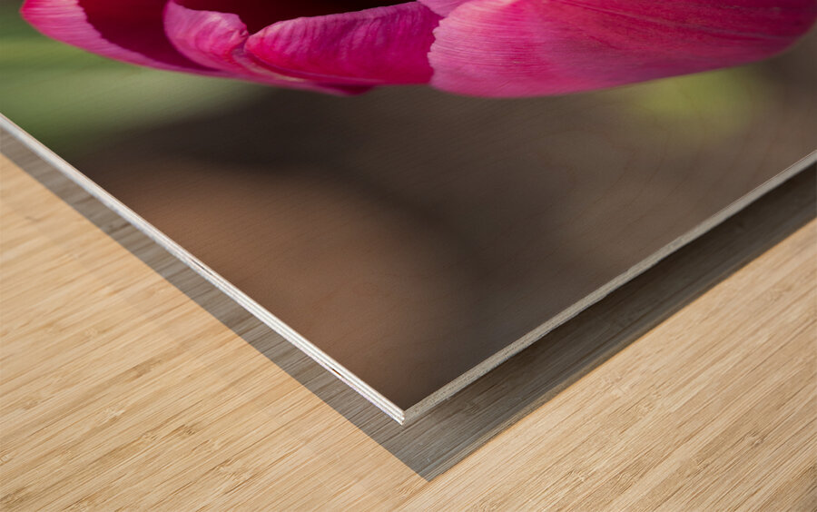 Pretty Pink Impression sur bois