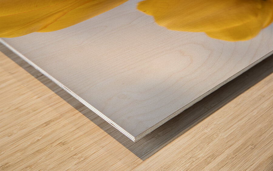 Dearest Friends Wood print