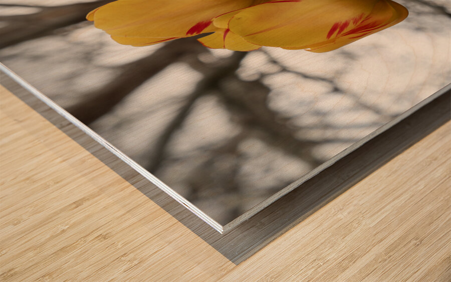 Beautiful Nature Wood print