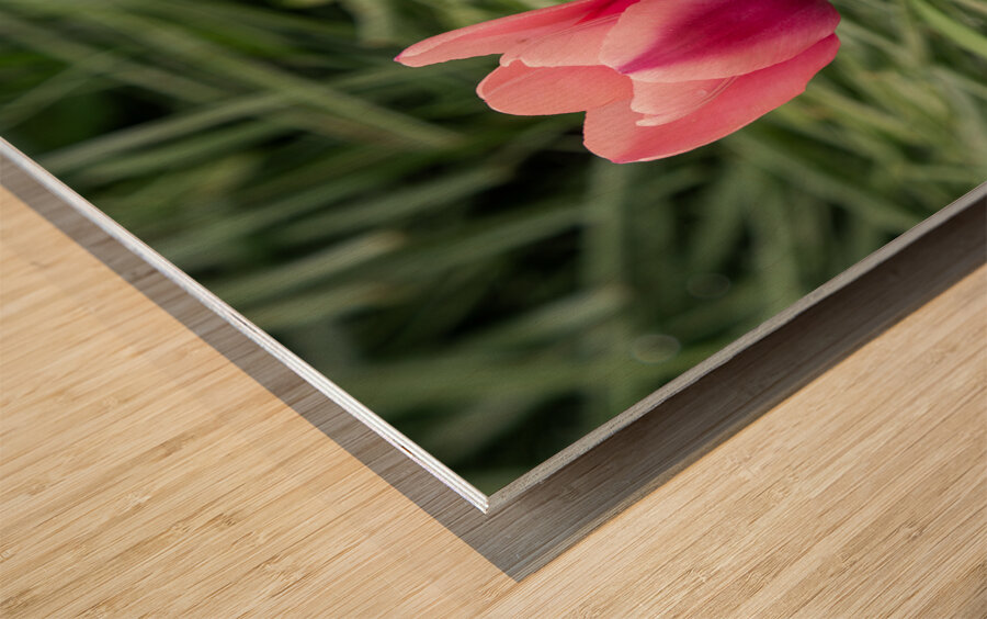 Loving You Wood print